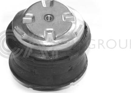 OCAP 1225282 - Подушка, опора, подвеска двигателя autospares.lv