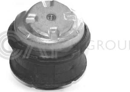 OCAP 1225287 - Подушка, опора, подвеска двигателя autospares.lv