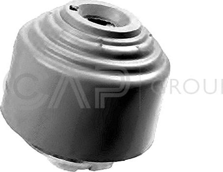 OCAP 1226210 - Подушка, опора, подвеска двигателя autospares.lv