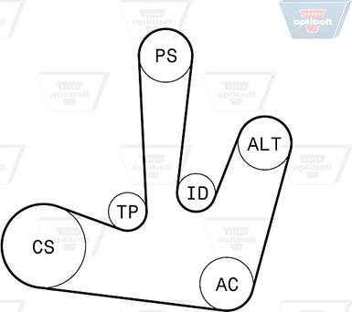 Optibelt 6 PK 1795KT1 - Поликлиновый ременный комплект autospares.lv