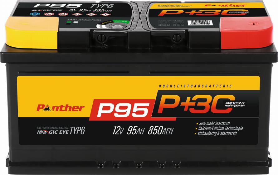 PANTHER SB.P95 - Стартерная аккумуляторная батарея, АКБ autospares.lv