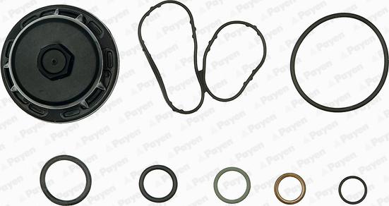 Payen EG9760 - Комплект прокладок, блок-картер двигателя autospares.lv