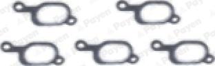 Payen HA5041 - Комплект прокладок, выпускной коллектор autospares.lv
