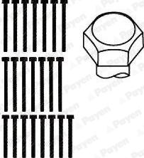 Payen HBS015 - Комплект болтов головки цилиндра autospares.lv