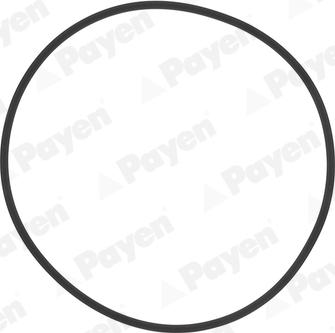 Payen HL5383 - Комплект прокладок, гильза цилиндра autospares.lv