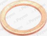 Payen KG5158 - Уплотнительное кольцо, резьбовая пробка маслосливного отверстия autospares.lv