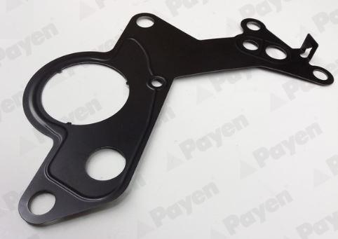 Payen KK5746 - Прокладка, топливный насос autospares.lv