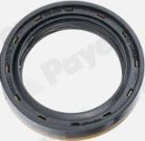 Payen NA5503 - Уплотняющее кольцо, дифференциал autospares.lv