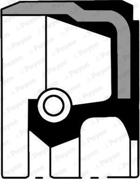 Payen NA5181 - Уплотняющее кольцо, коленчатый вал autospares.lv
