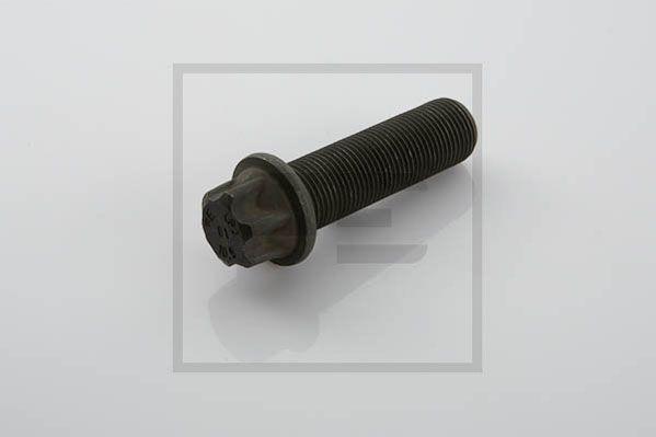 PE Automotive 036.124-00A - Болт, диск тормозного механизма autospares.lv