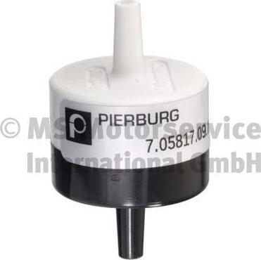 Pierburg 7.05817.09.0 - Клапан, система вторичного воздуха autospares.lv