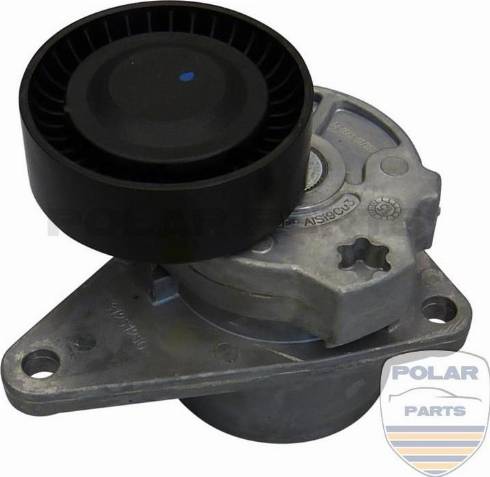 PolarParts 10001294 - Натяжитель, поликлиновый ремень autospares.lv