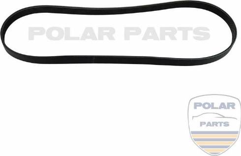 PolarParts 10003758 - Поликлиновой ремень autospares.lv