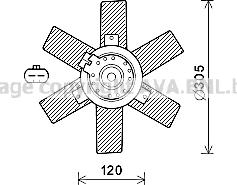 Prasco CN7553 - Вентилятор, охлаждение двигателя autospares.lv