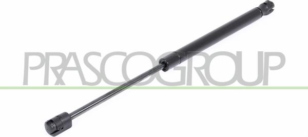 Prasco HN8029065 - Газовая пружина, упор autospares.lv