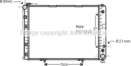 Prasco MS2177 - Радиатор, охлаждение двигателя autospares.lv