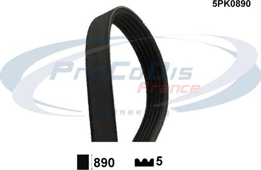 Procodis France 5PK0890 - Поликлиновой ремень autospares.lv