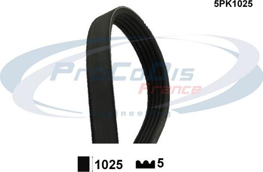 Procodis France 5PK1025 - Поликлиновой ремень autospares.lv