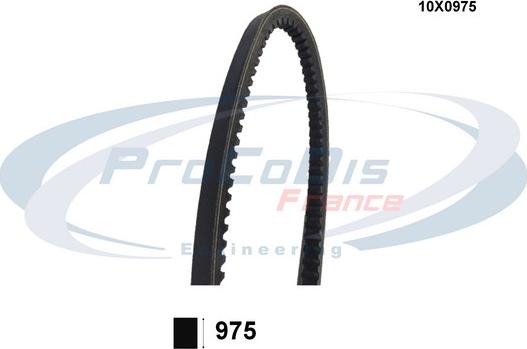 Procodis France 10X0975 - Клиновой ремень, поперечные рёбра autospares.lv