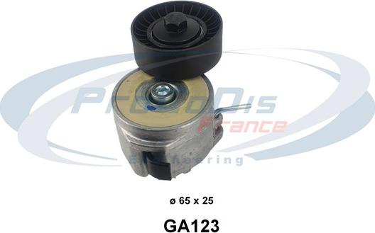 Procodis France GA123 - Натяжитель, поликлиновый ремень autospares.lv