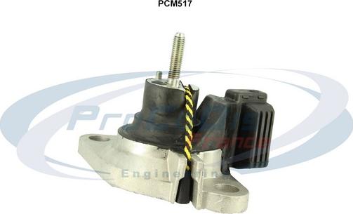 Procodis France PCM517 - Подушка, опора, подвеска двигателя autospares.lv