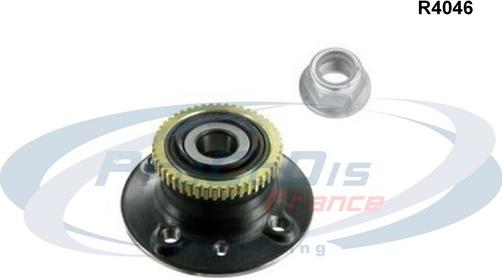 Procodis France R4046 - Подшипник ступицы колеса, комплект autospares.lv