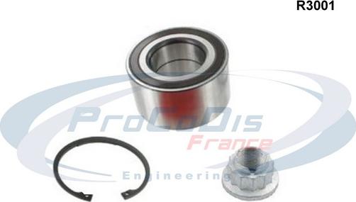 Procodis France R3001 - Подшипник ступицы колеса, комплект autospares.lv