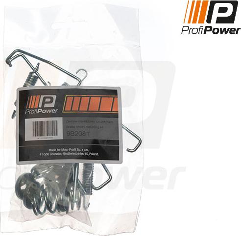 ProfiPower 9B2081 - Комплектующие, барабанный тормозной механизм autospares.lv