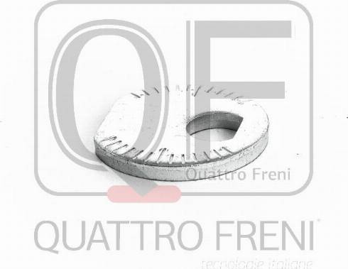 Quattro Freni QF00X00012 - Болт, установка управляемых колес autospares.lv