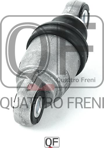 Quattro Freni QF31P00046 - Виброгаситель, поликлиновый ремень autospares.lv