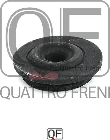 Quattro Freni QF23D00040 - Подвеска, радиатор autospares.lv