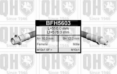 Quinton Hazell BFH5603 - Тормозной шланг autospares.lv