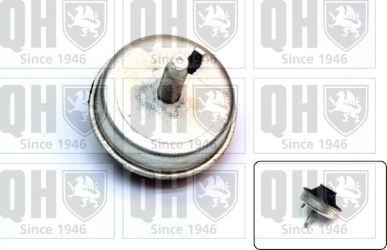 Quinton Hazell EM4480 - Подушка, опора, подвеска двигателя autospares.lv