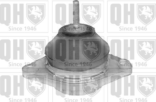 Quinton Hazell EM4064 - Подушка, опора, подвеска двигателя autospares.lv