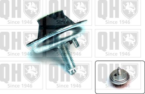 Quinton Hazell EM4144 - Подушка, опора, подвеска двигателя autospares.lv