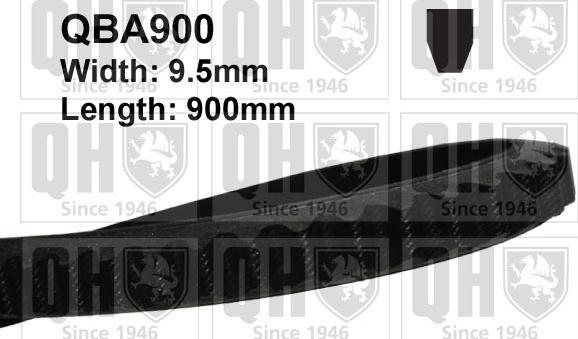 Quinton Hazell QBA900 - Клиновой ремень, поперечные рёбра autospares.lv