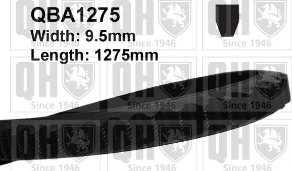 Quinton Hazell QBA1275 - Клиновой ремень, поперечные рёбра autospares.lv