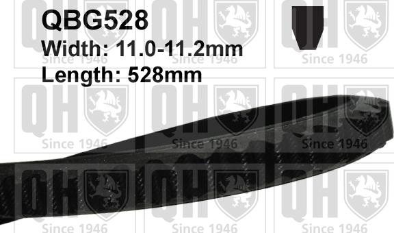 Quinton Hazell QBG528 - Клиновой ремень, поперечные рёбра autospares.lv