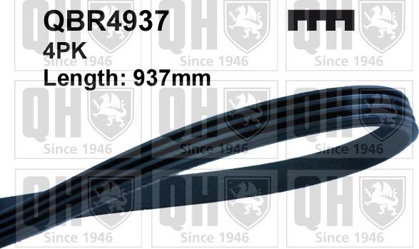 Quinton Hazell QBR4937 - Поликлиновой ремень autospares.lv