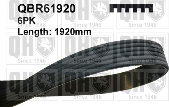 Quinton Hazell QBR61920 - Поликлиновой ремень autospares.lv