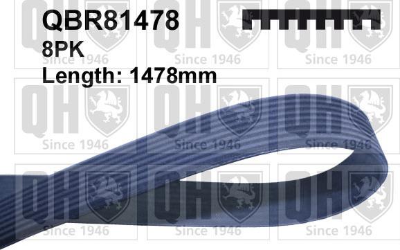 Quinton Hazell QBR81478 - Поликлиновой ремень autospares.lv