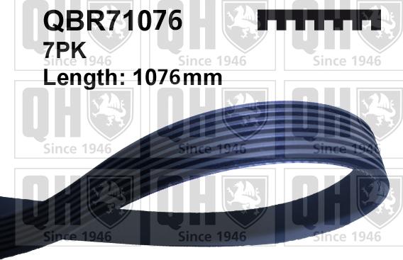 Quinton Hazell QBR71076 - Поликлиновой ремень autospares.lv