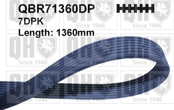 Quinton Hazell QBR71360DP - Поликлиновой ремень autospares.lv