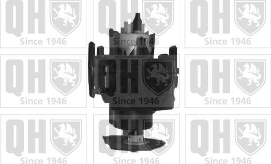 Quinton Hazell QFP619 - Топливный насос autospares.lv