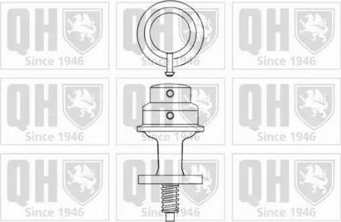 Quinton Hazell QFP313 - Топливный насос autospares.lv