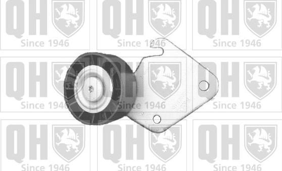 Quinton Hazell QTA1125 - Ролик, поликлиновый ремень autospares.lv