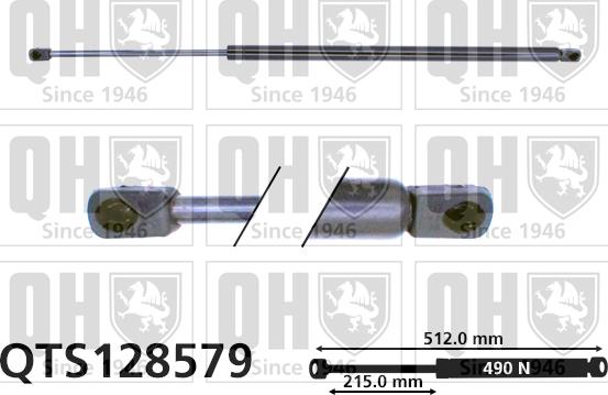 Quinton Hazell QTS128579 - Газовая пружина, упор autospares.lv