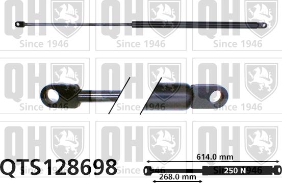 Quinton Hazell QTS128698 - Газовая пружина, капот autospares.lv