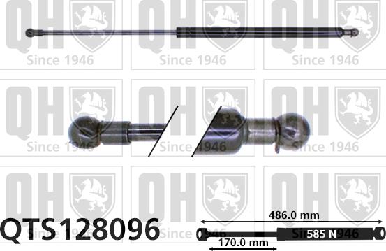 Quinton Hazell QTS128096 - Газовая пружина, упор autospares.lv