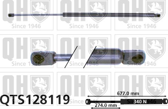 Quinton Hazell QTS128119 - Газовая пружина, упор autospares.lv